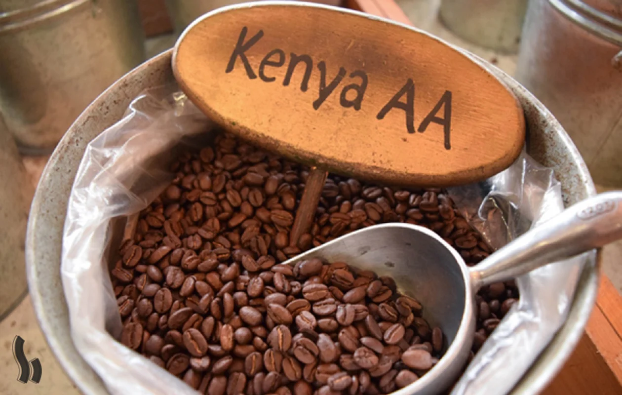 دان قهوه کنیا