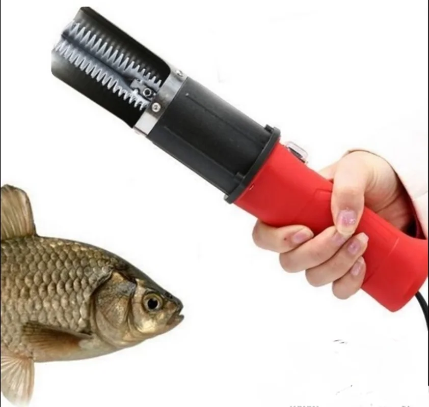 فلس گیر ( پولک گیر ) ماهی